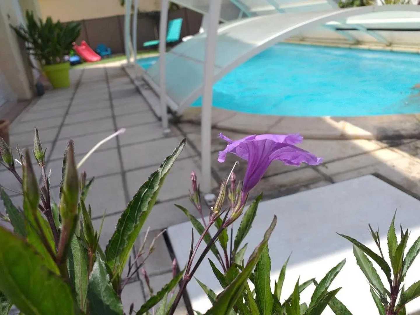 Appartement lumineux et spacieux