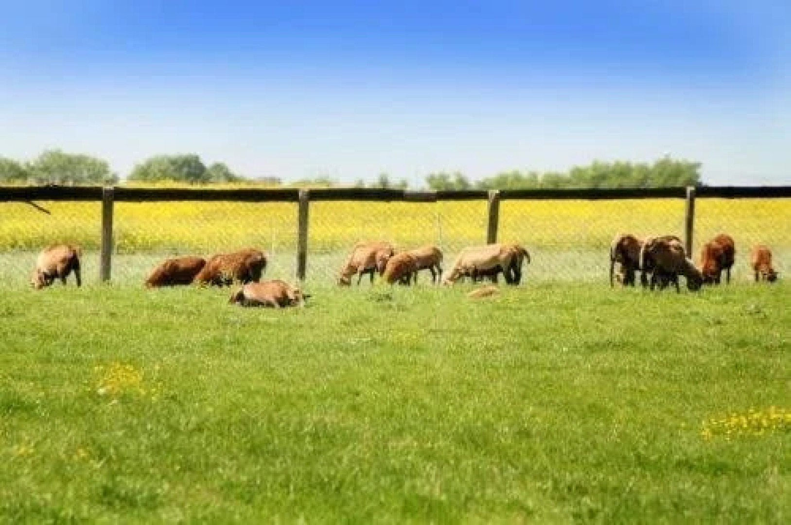 Halbersbacher Landhaus