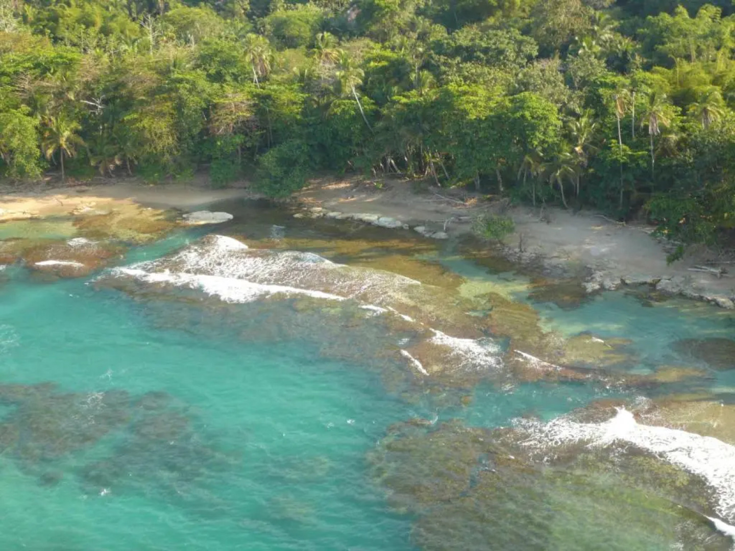 Tree House Beachfront Lodge