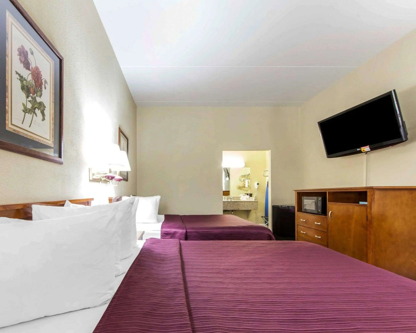 Quality Inn Maysville