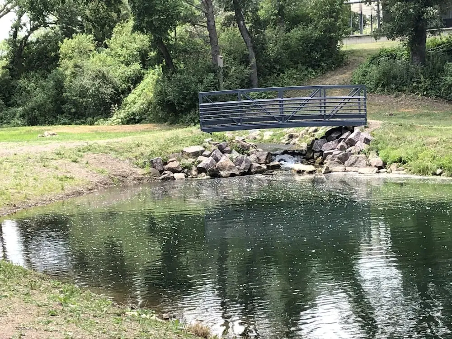 Buffalo Ridge Resort