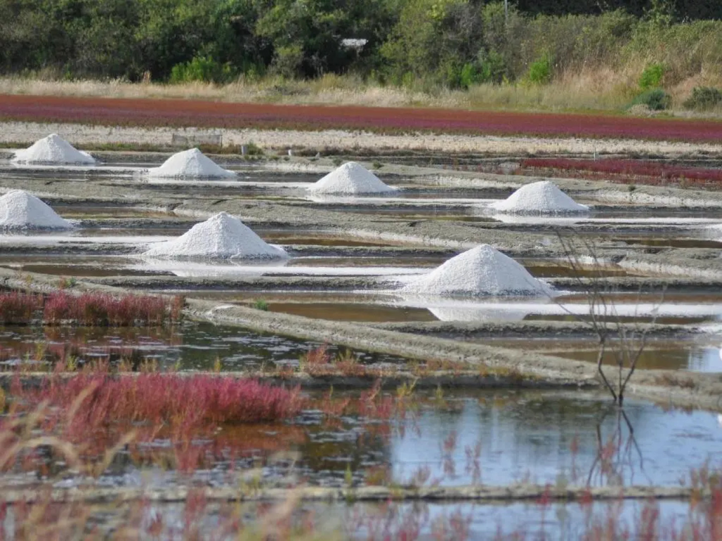 Appartement Piriac-sur-Mer, 3 pièces, 4 personnes - FR-1-306-943