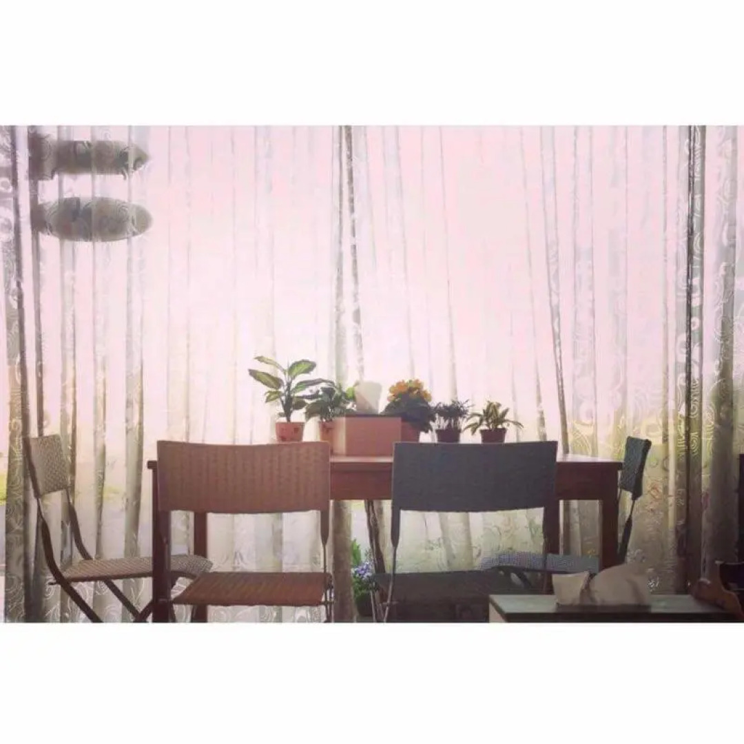 Blanche Bed and Breakfast