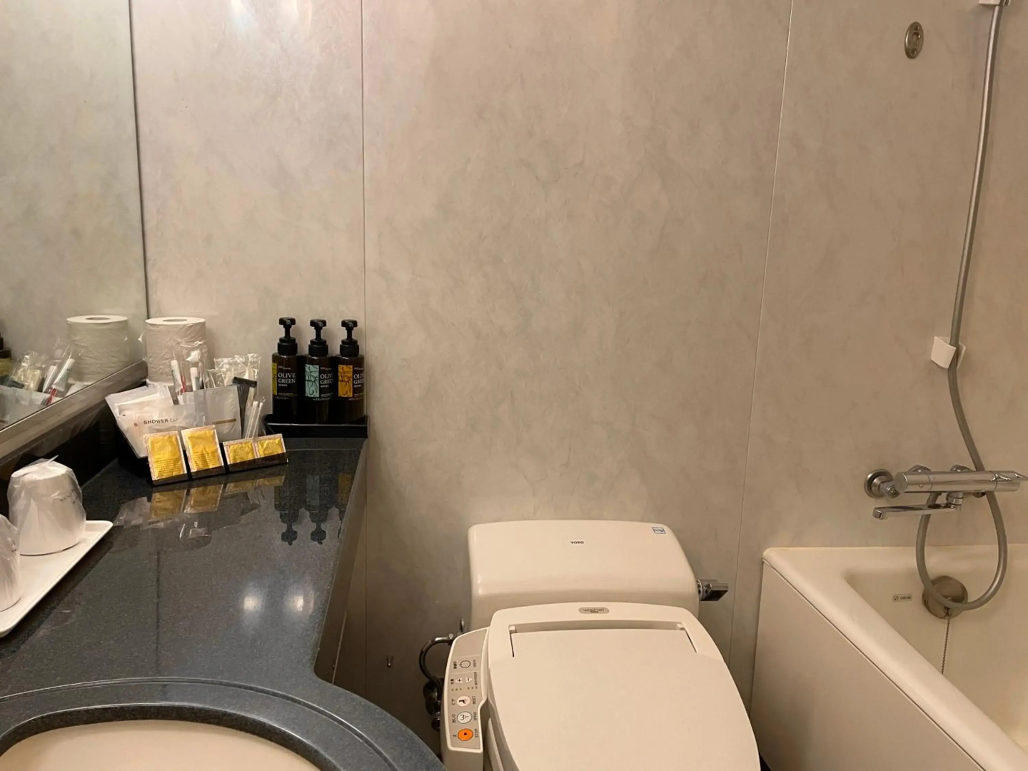 Bayside Hotel Azur Takeshiba Hamamatsucho