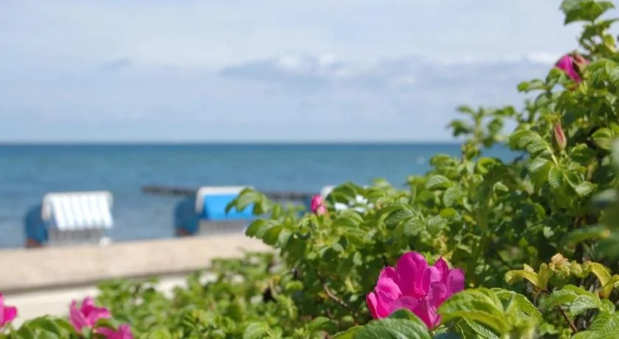 Ferienwohnungen am Strand - Strandvilla Belvedere