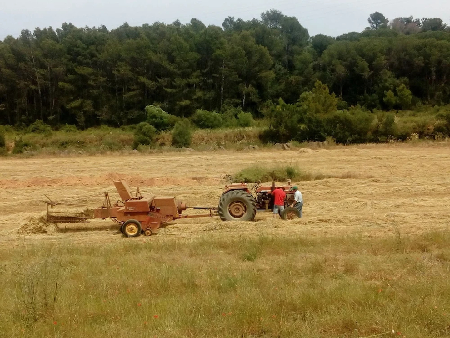 Can Barnosell - Els Masos d'en Coll