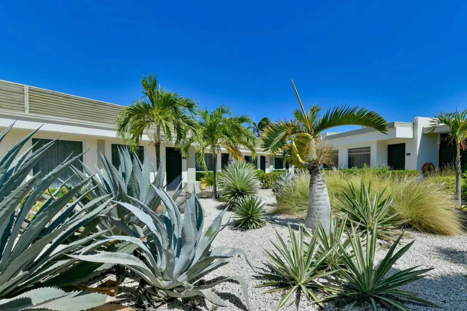 voco Surfside Aruba by IHG