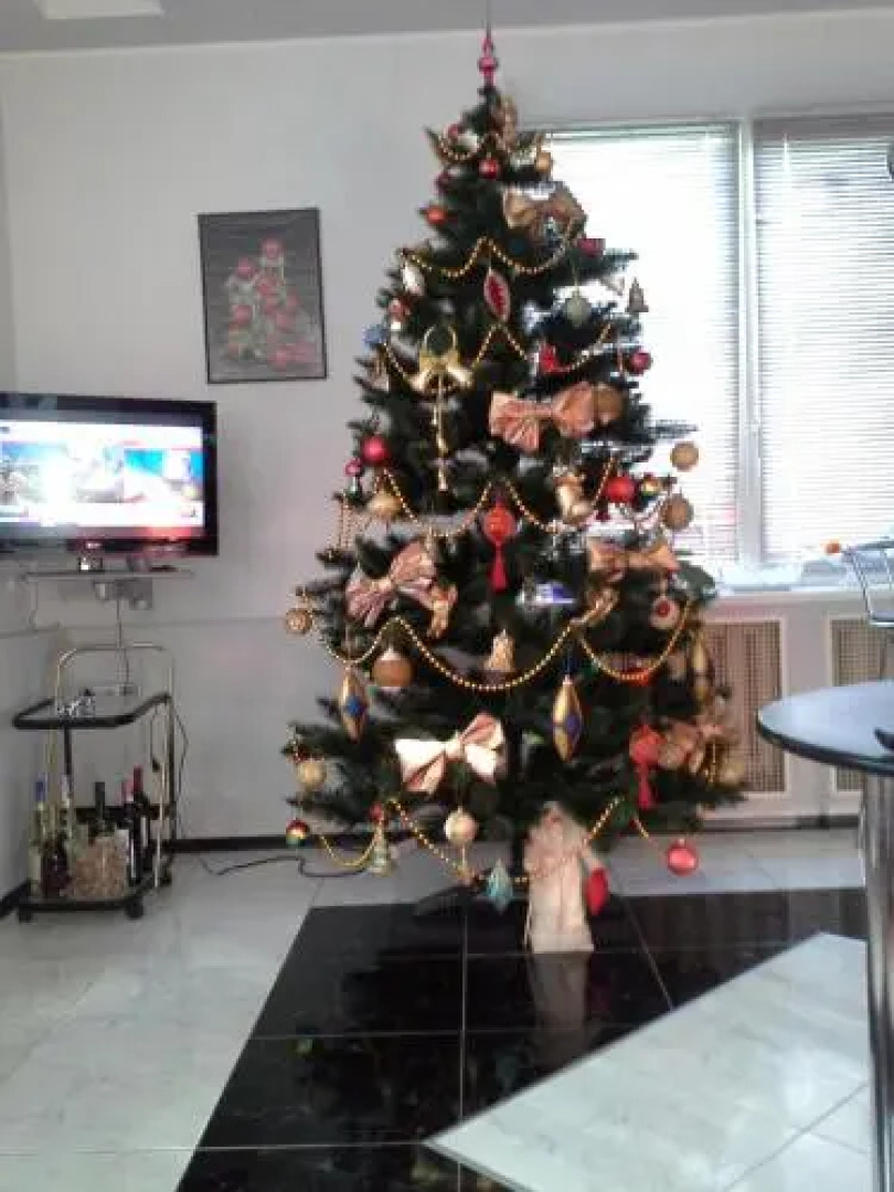 Guest House v Petrovskom