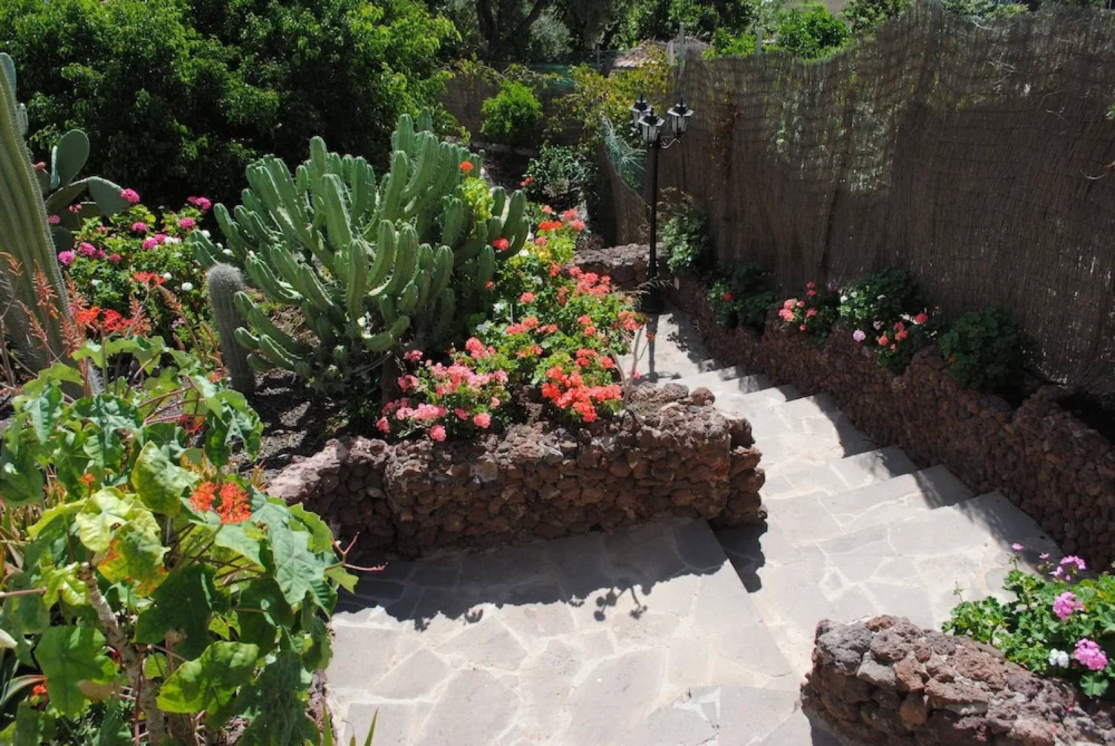 El Olivar - La Oliva