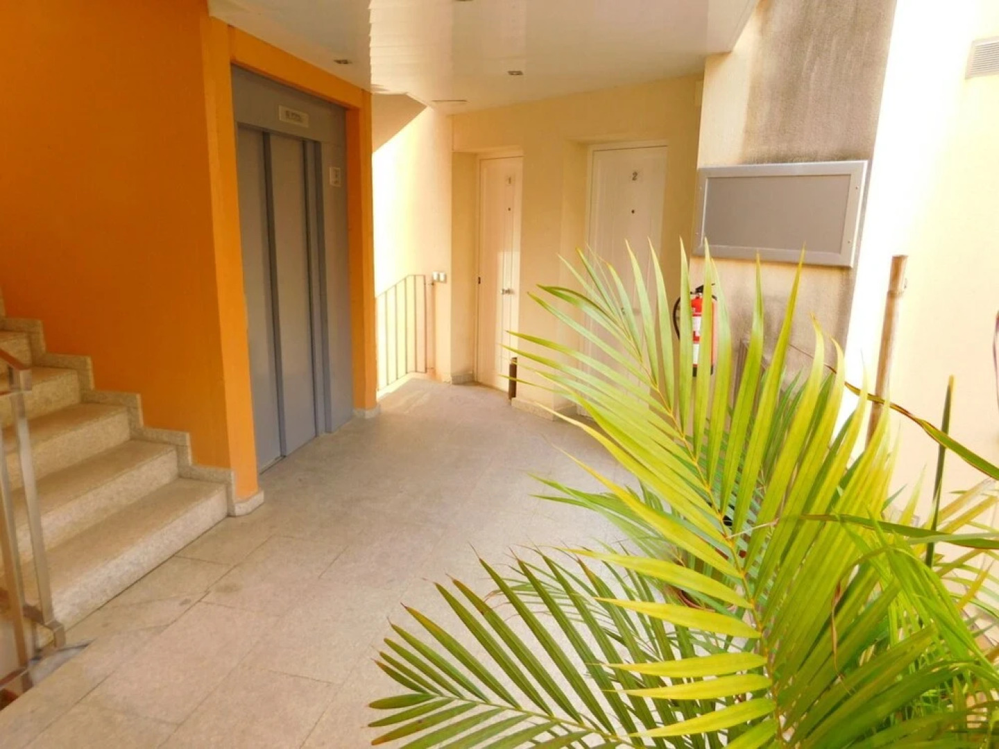 Apartamento Els Olivars