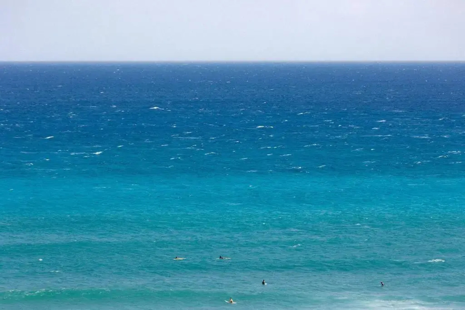 Lotus Honolulu at Diamond Head