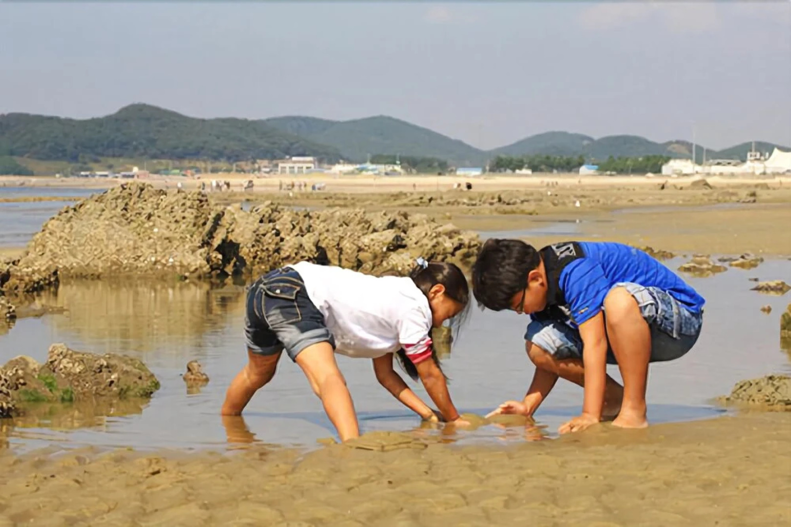 Taean Golden Chive Pension
