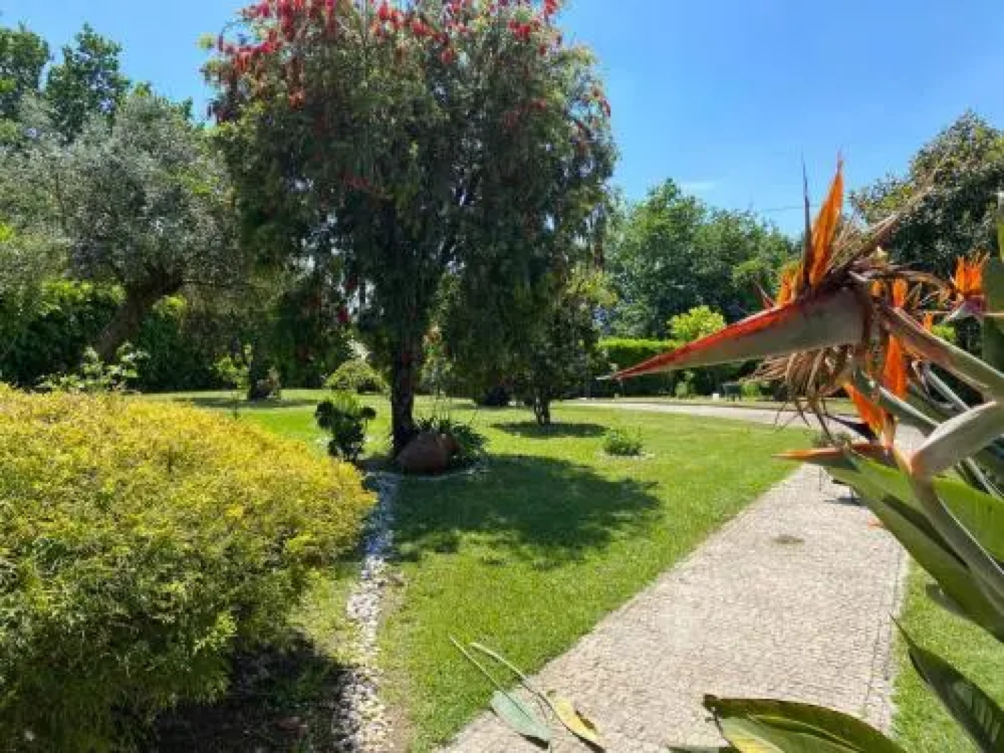 The Oak´S Wolf-Country House