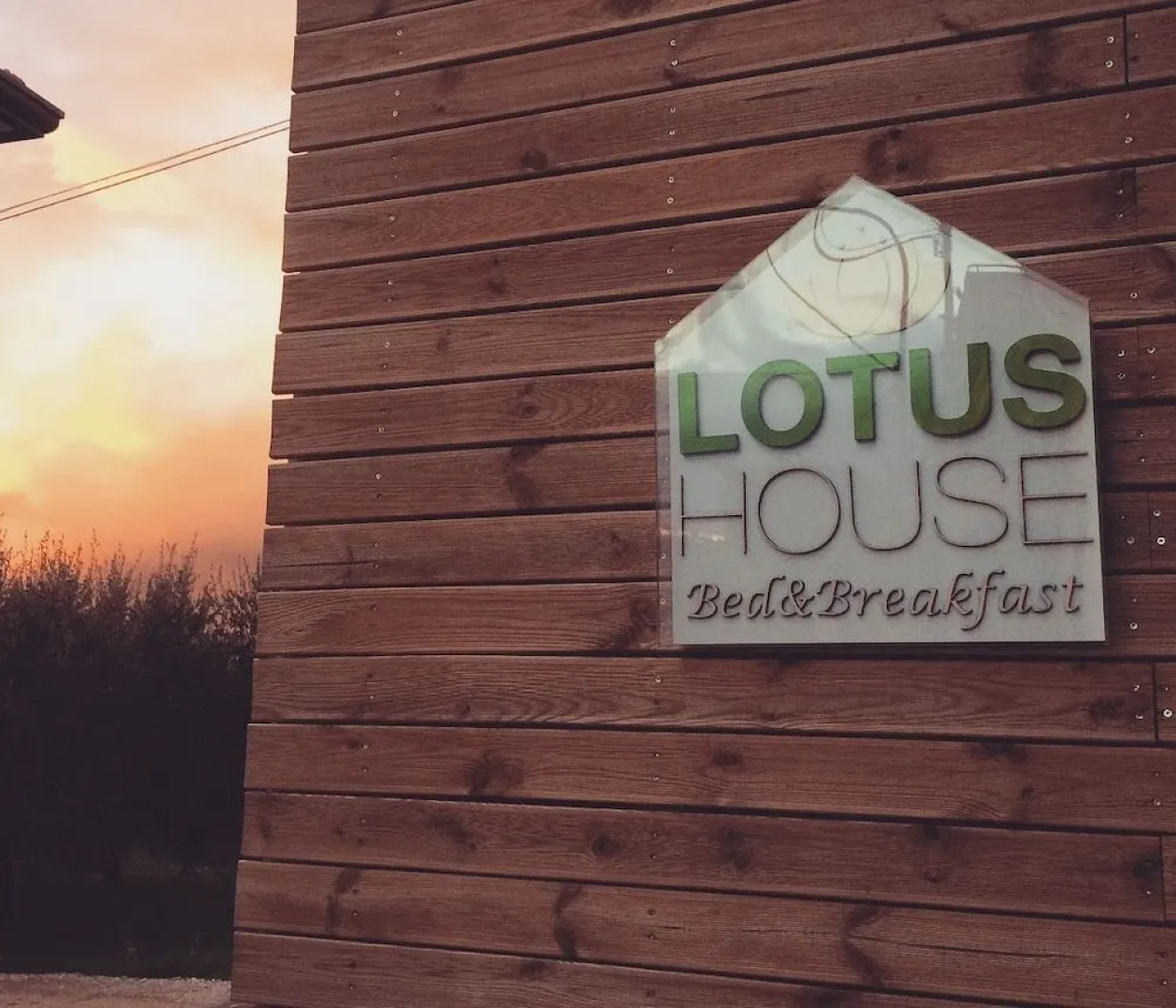 B&B Lotus House
