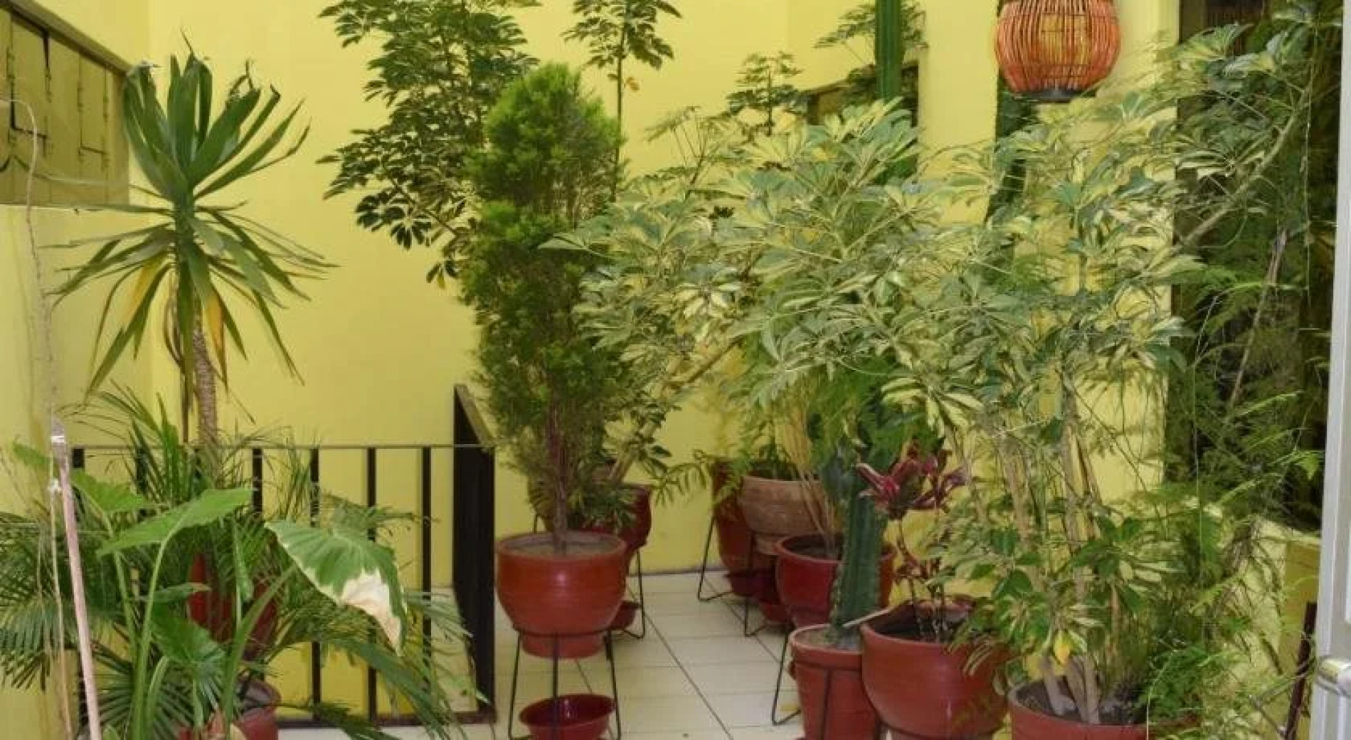 Hotel Maria Antonieta