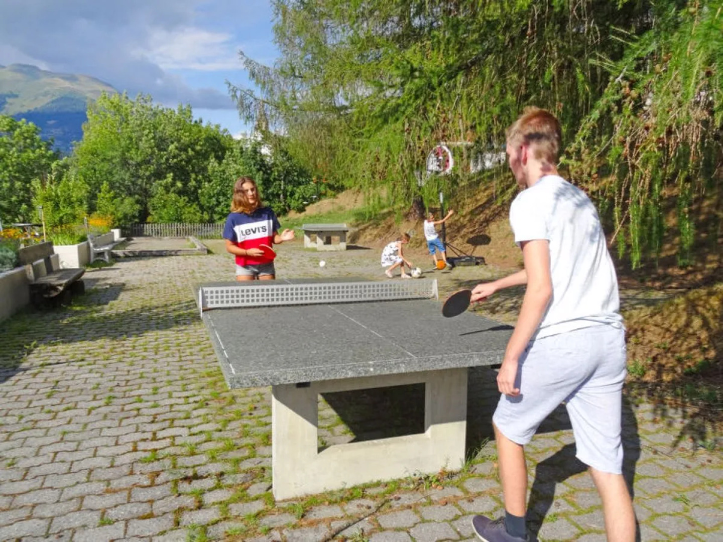 Villa Aragon Ernen 40914