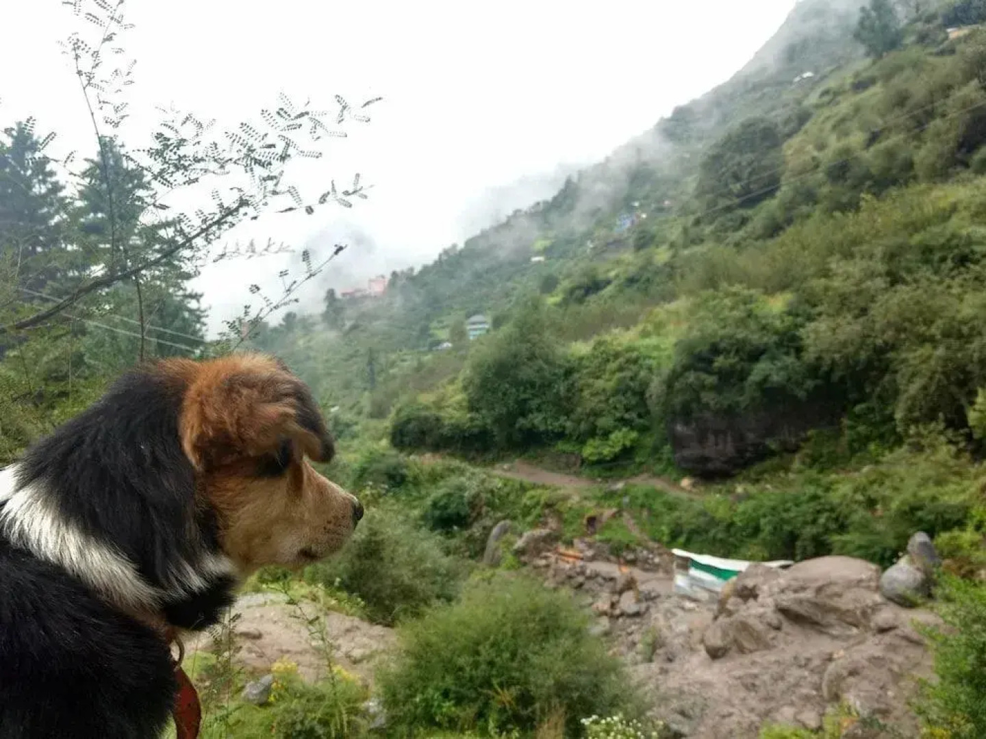 Stonedage Cafe And Inn