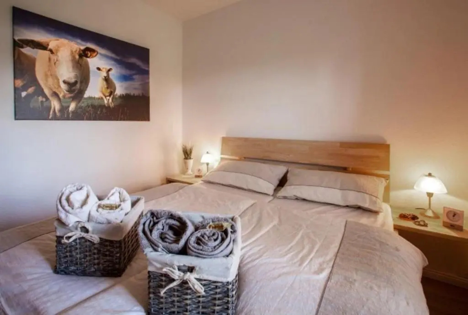 Austernfischer - a27555