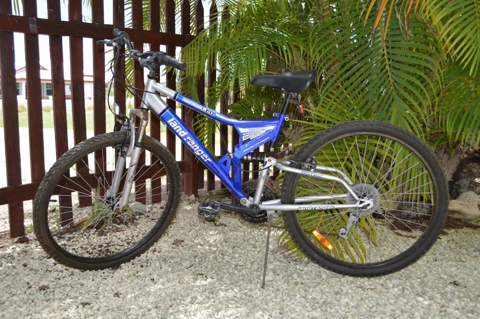 Yellow Bird Apartment