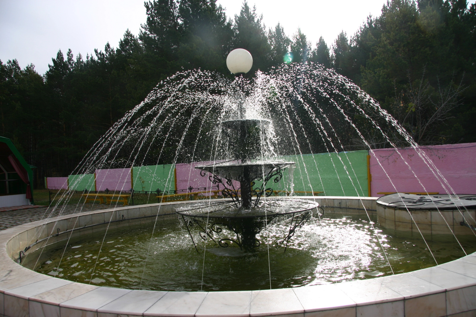 Sosnovyj bor (Krasnojarsk)