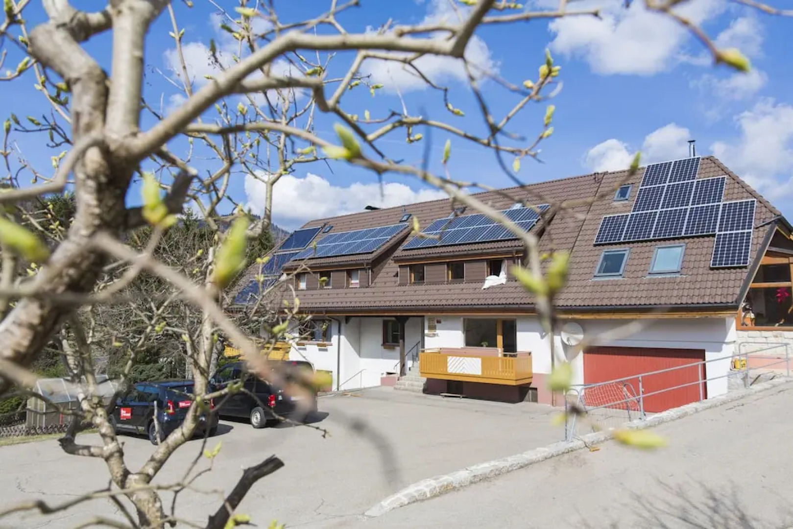 Kuckucksnester Menzenschwand (Vorderdorf)