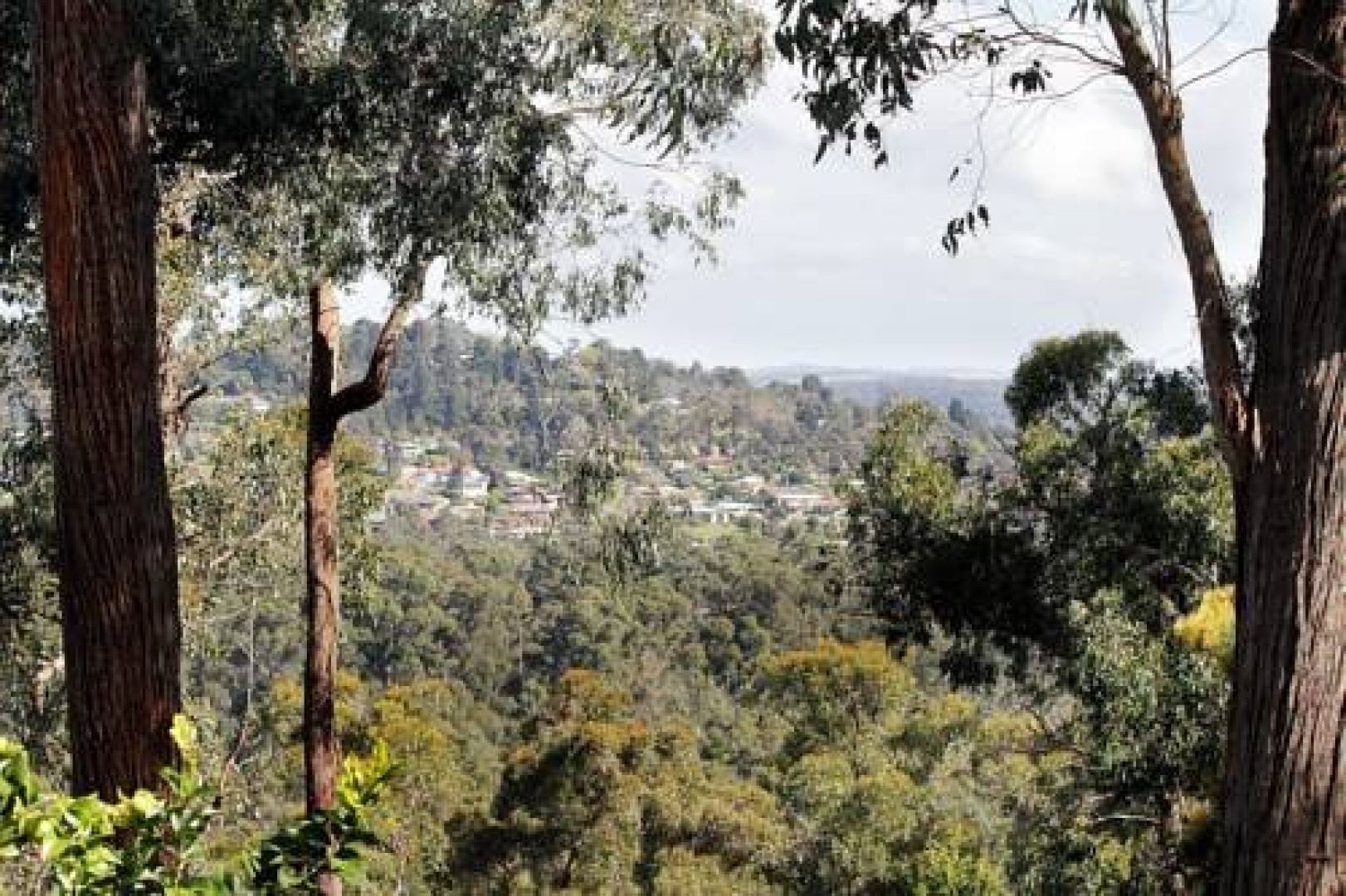 Wide Horizons Bed & Breakfast