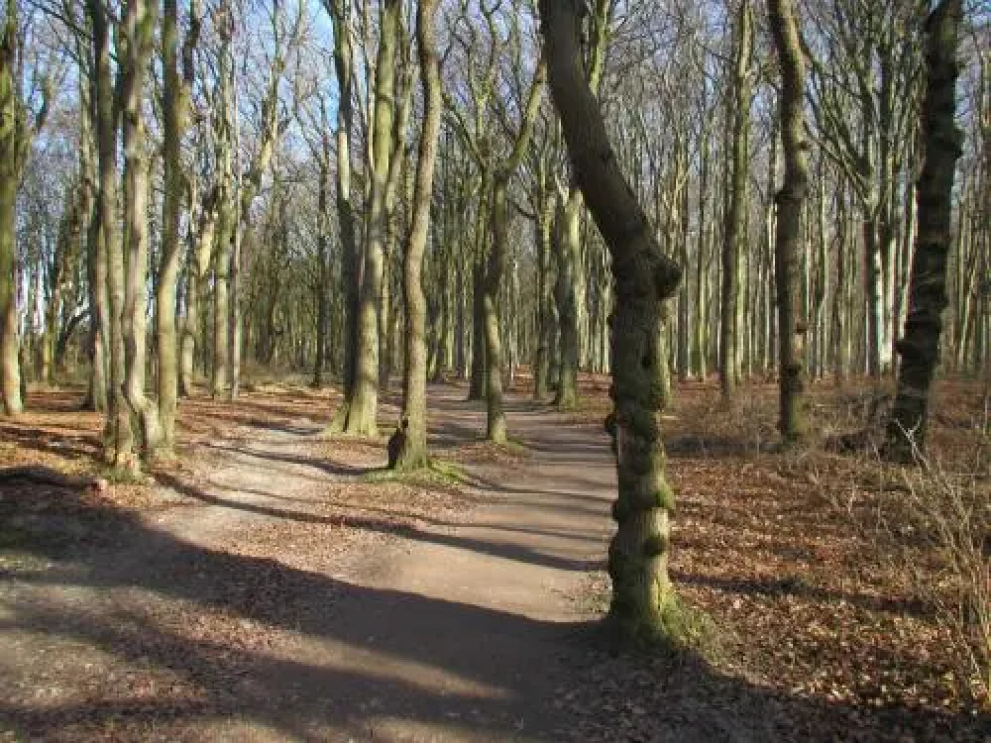 Appartementhaus Calmsailing, Borgerende