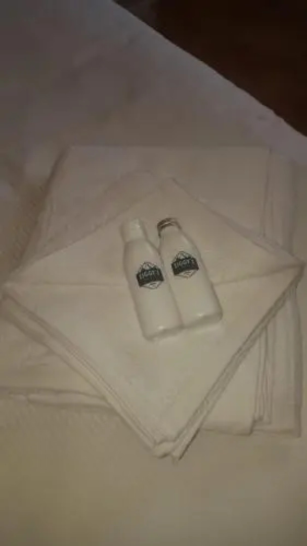 Ziggy's Mountain Retreat