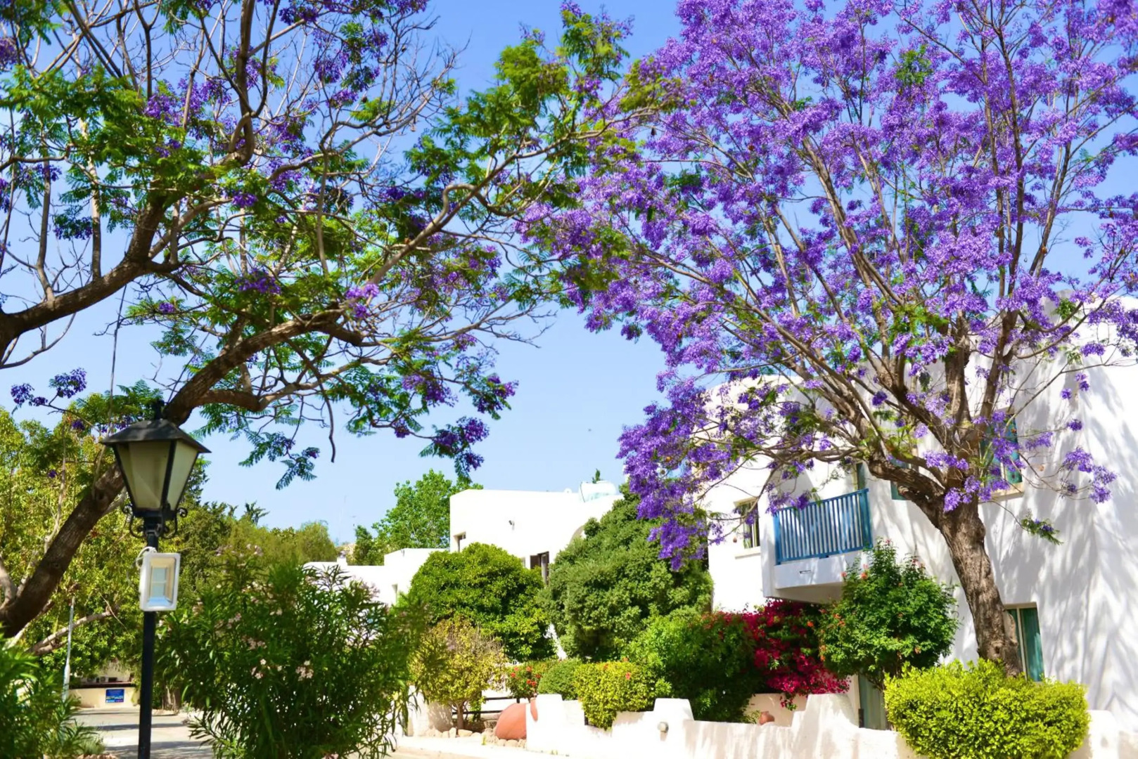 Paphos Gardens Holiday Resort