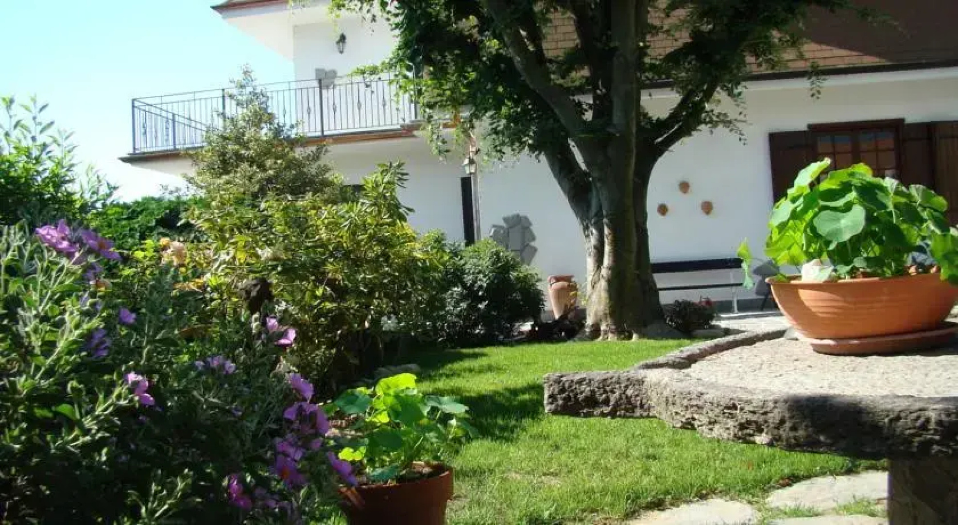 B&B Il Grillo Bianco