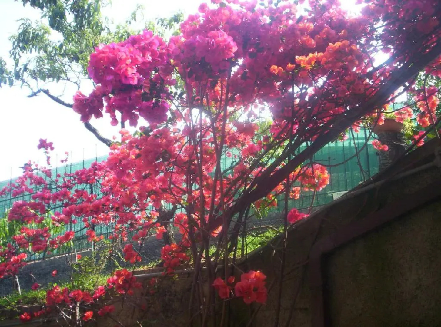 Bed  Breakfast Le Gardenie Da Fil