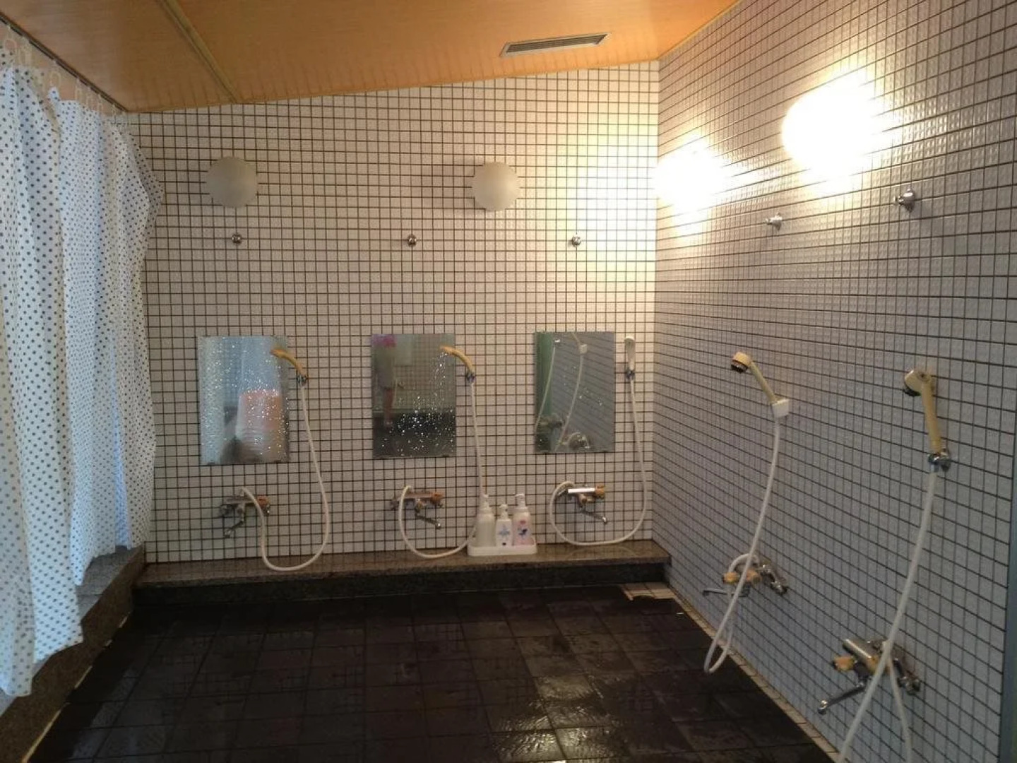 Alpine Lodge - Hostel