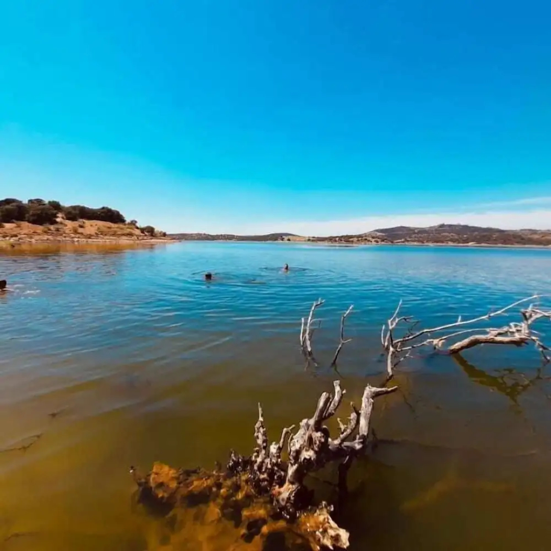 Herdade Do Rio Torto