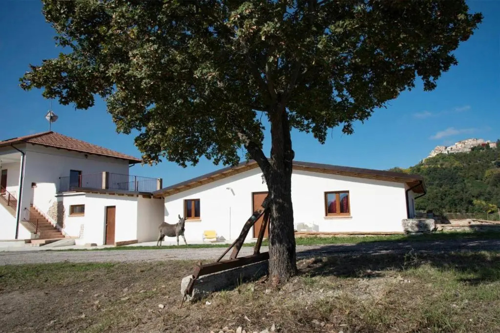 La Fattoria delle Coccinelle