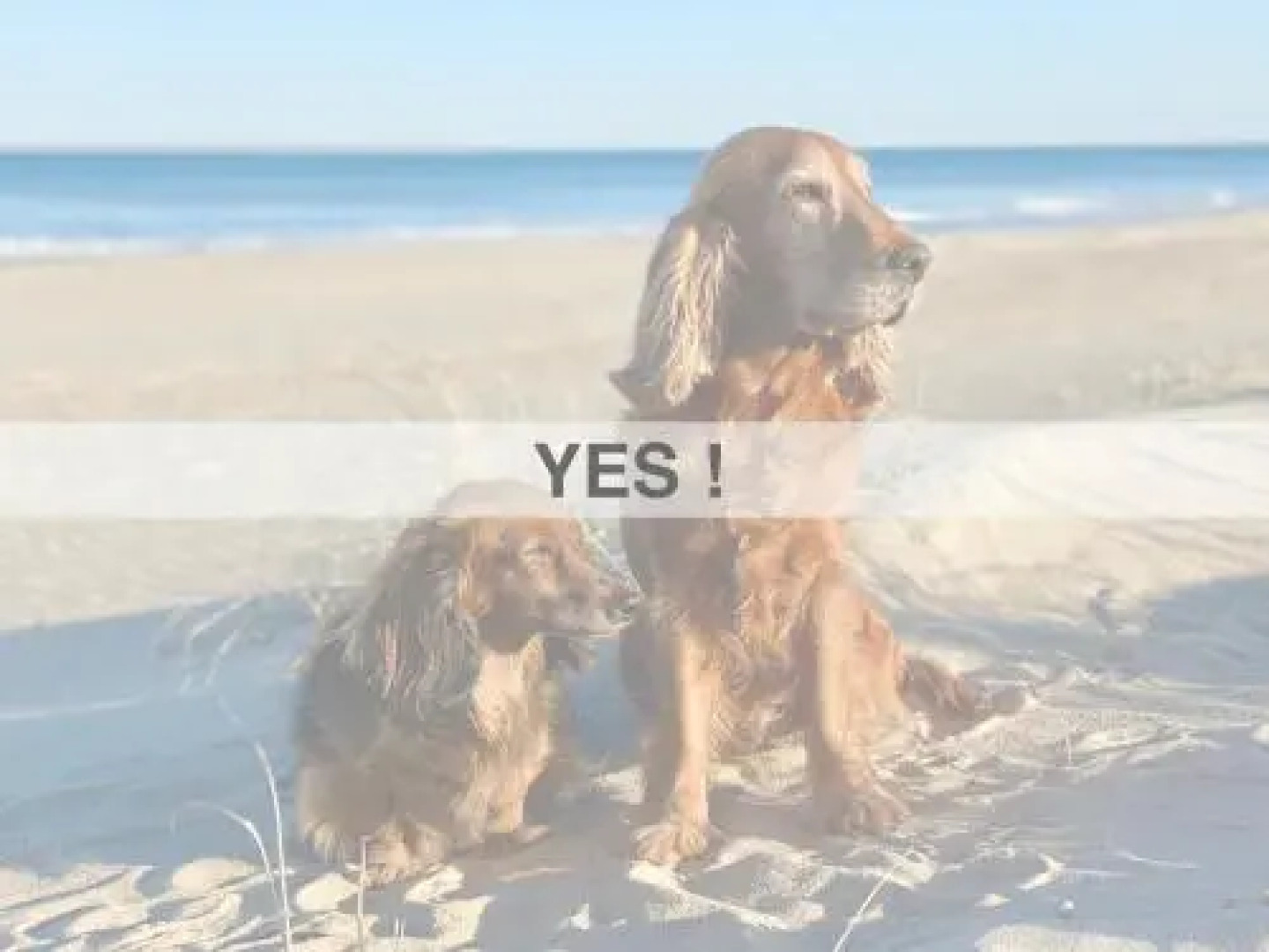 Èrsextius, Aix-en-Provence