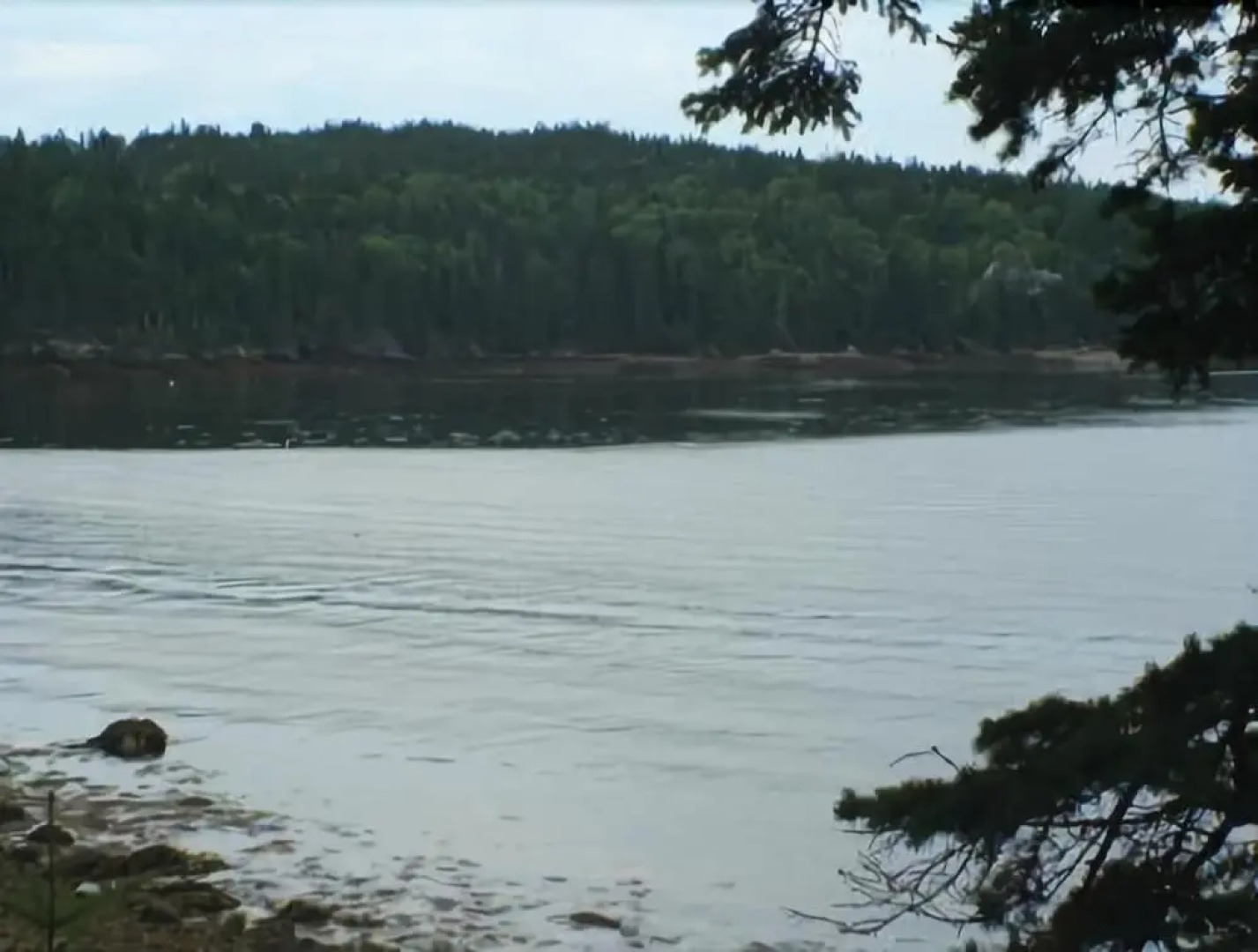 Green Leaf Cottage - Three Bedroom Home