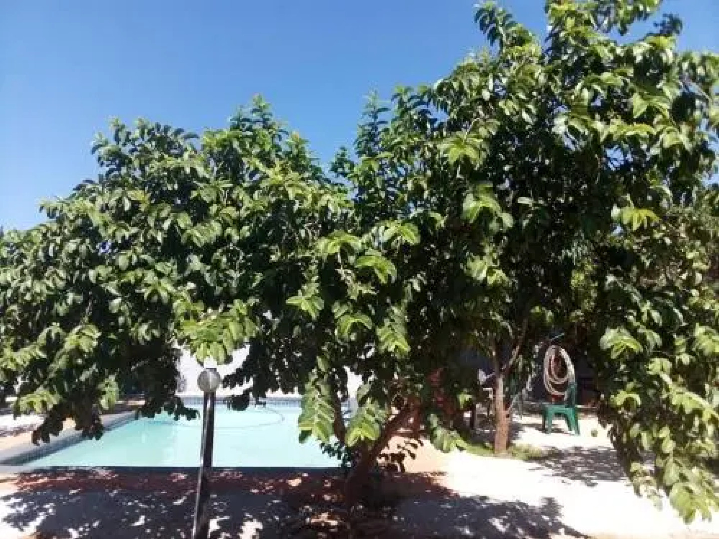 Belle vue Bed & Breakfast