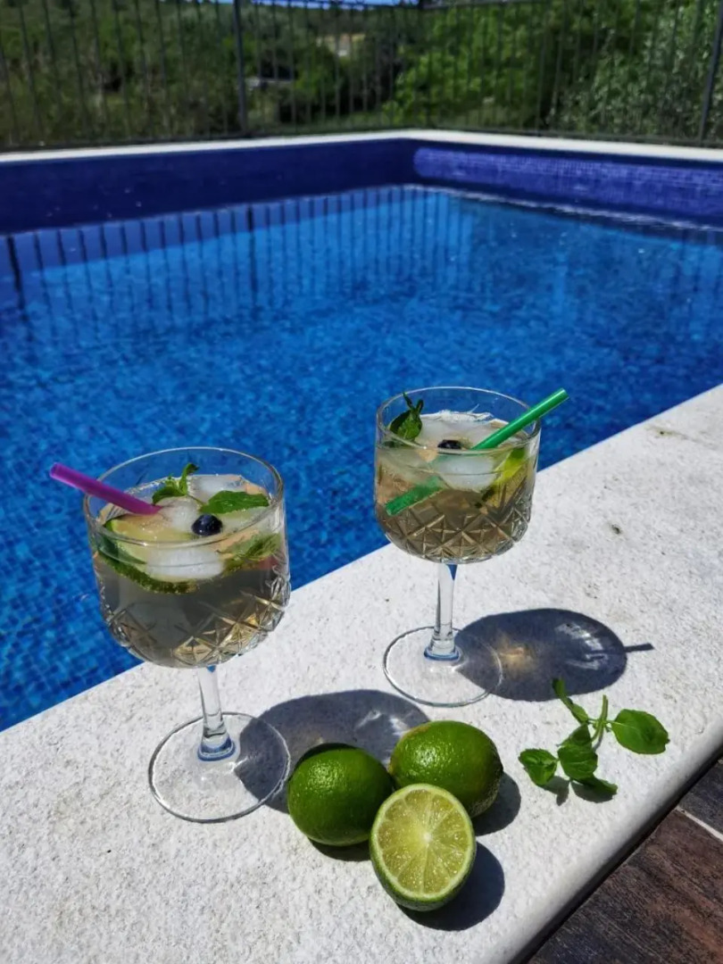 Holiday Home Dvori Dida Mile