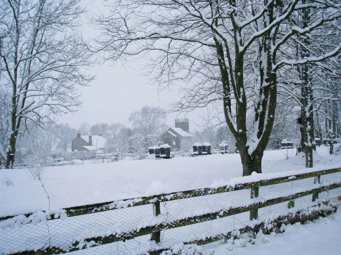 Falstone Barns