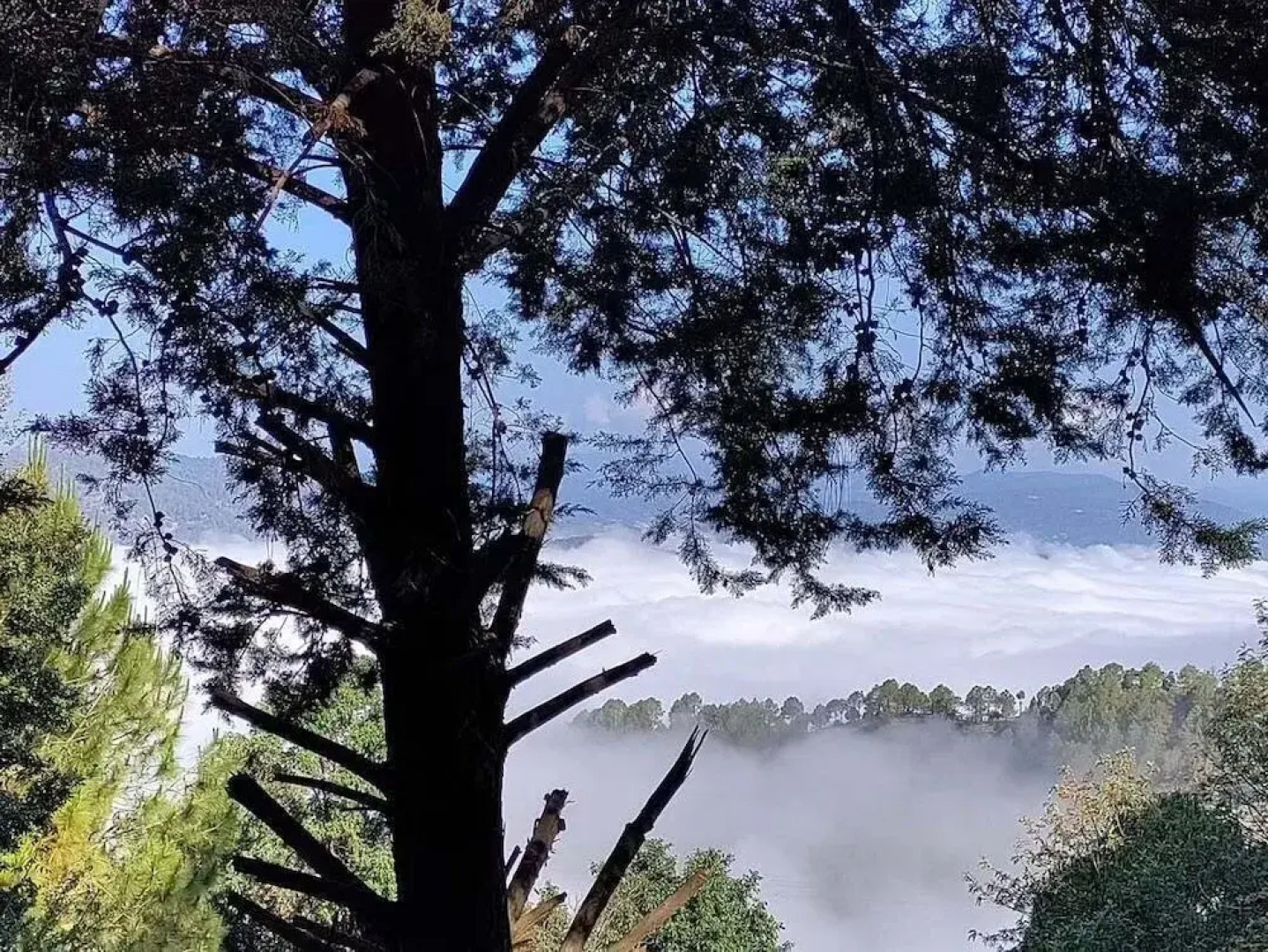 Mandeva Wooden castle