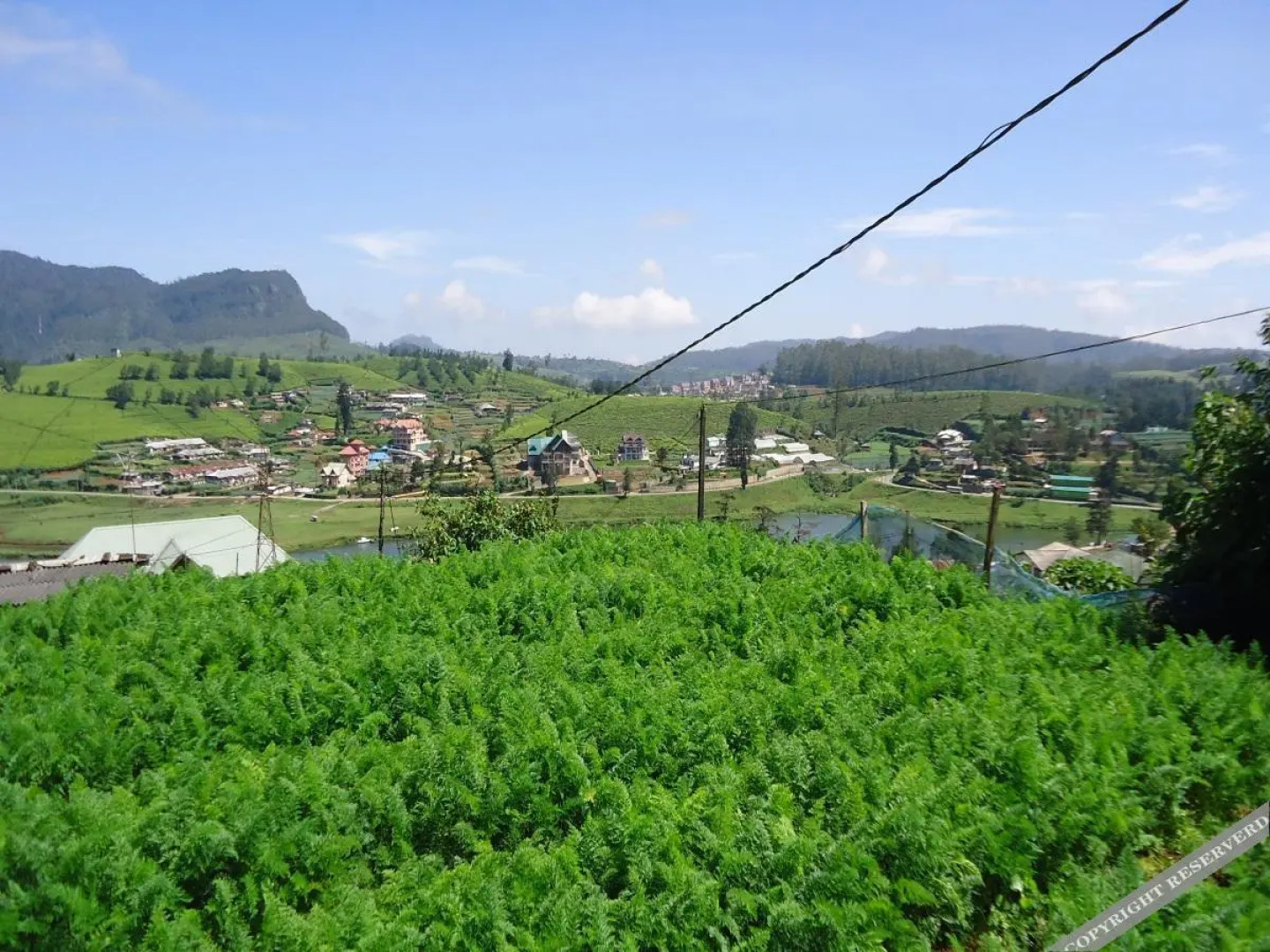 Lake View Holiday Home