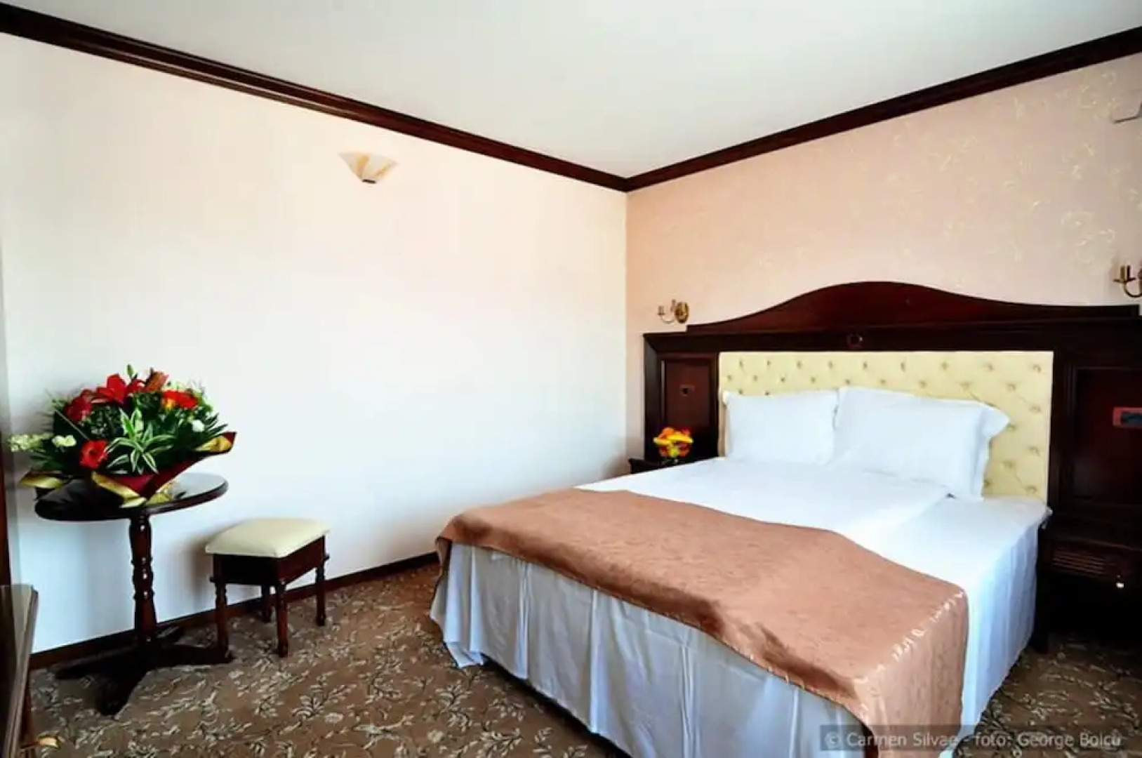 Vila Turistica Carmen Silvae