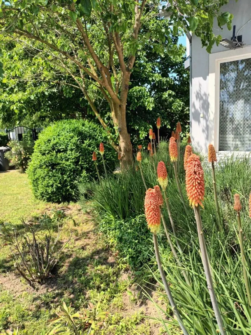 Tea Apartman Balatongyorok