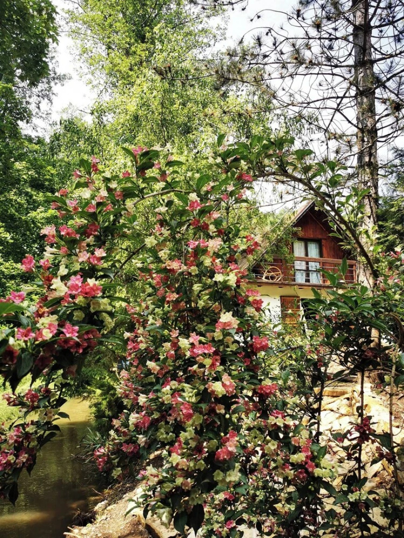 Sunny Wooden House on Creek, 30 Minutes Prague