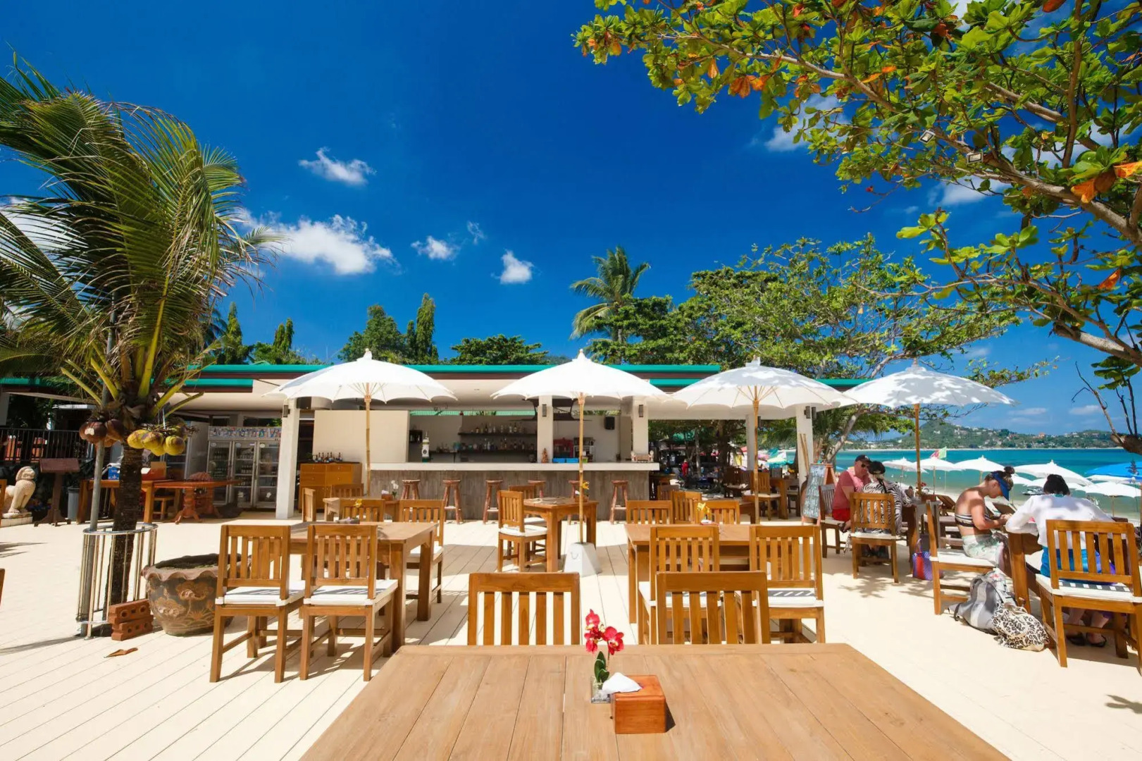 Lamai Coconut Beach Resort