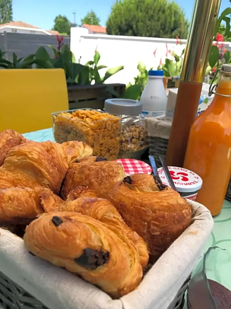 Alma Libre Yoga & Surf House