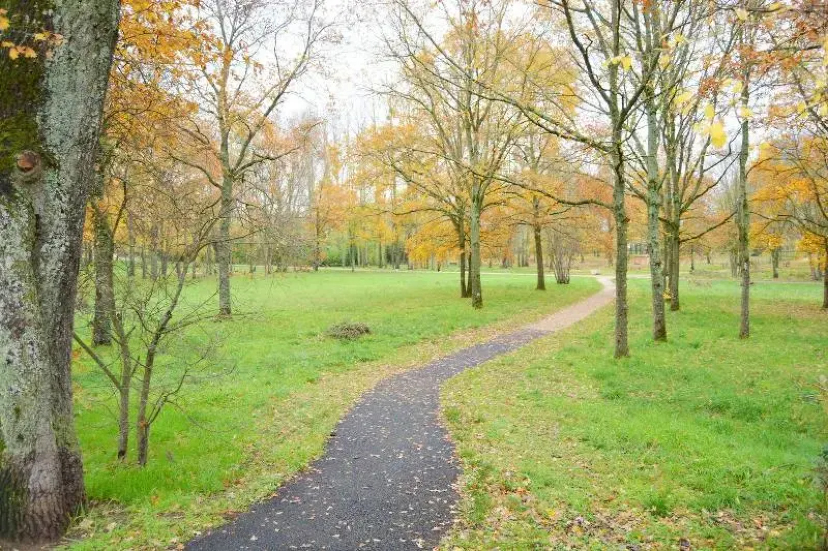 Zenao Appart Hotel Yzeure