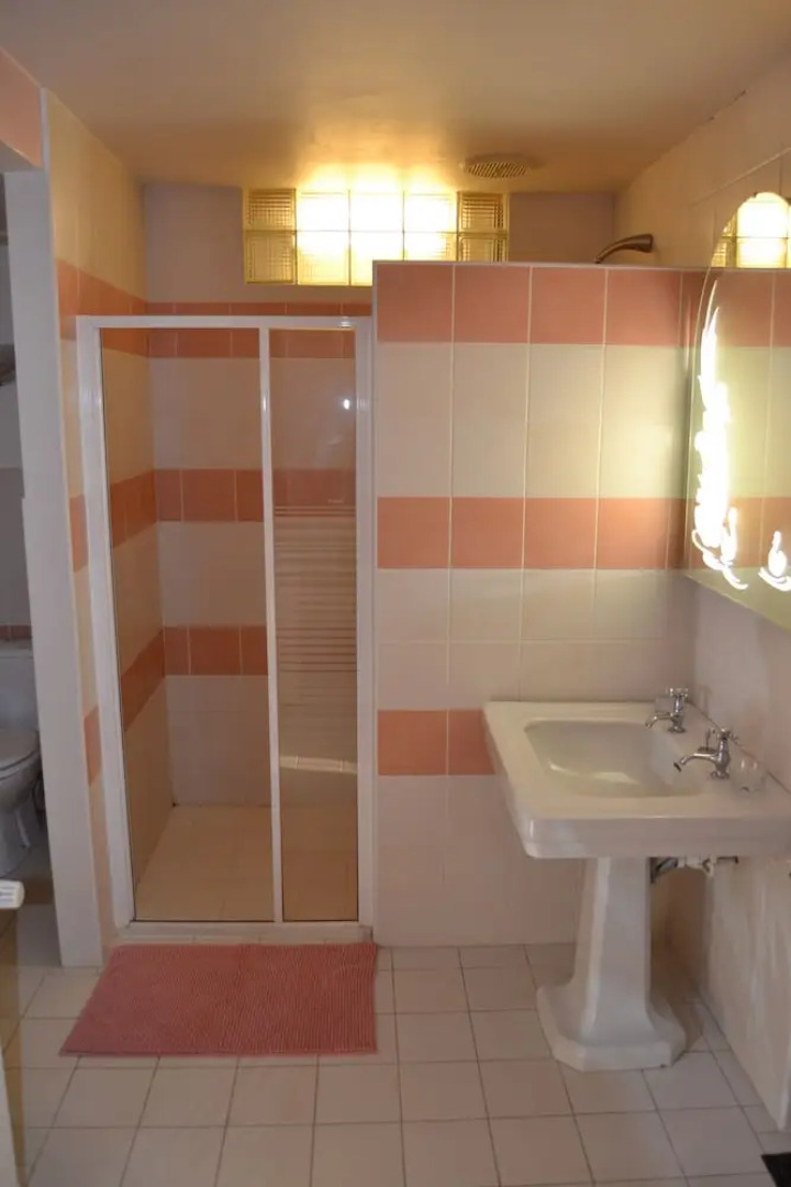 Les Camélias des Demoiselles de Pallus