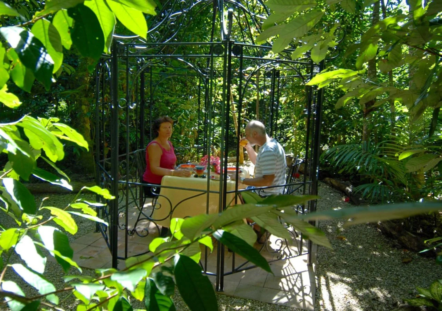Hibiscus Lodge Bed & Breakfast