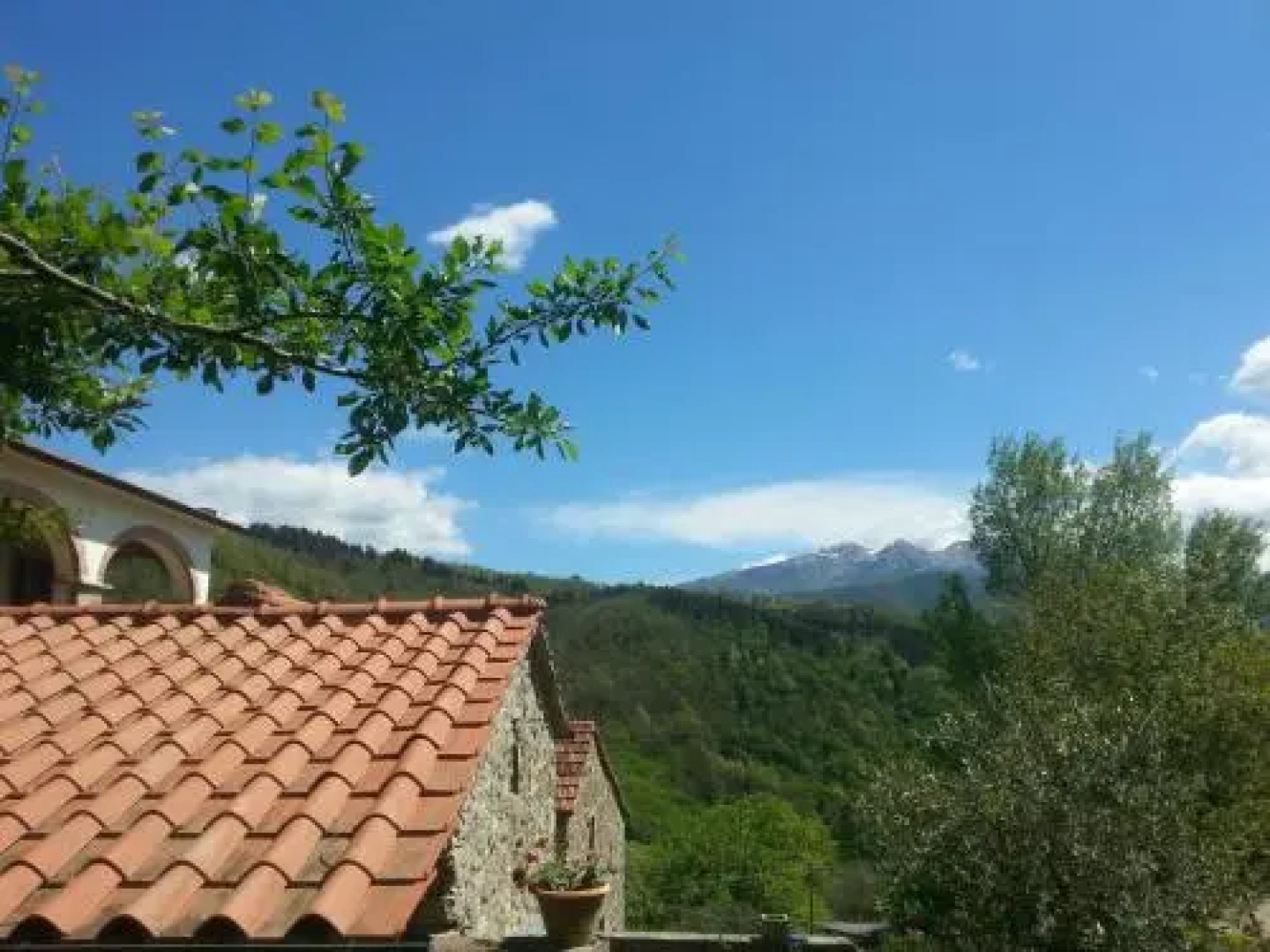 San Francesco E Il Lupo